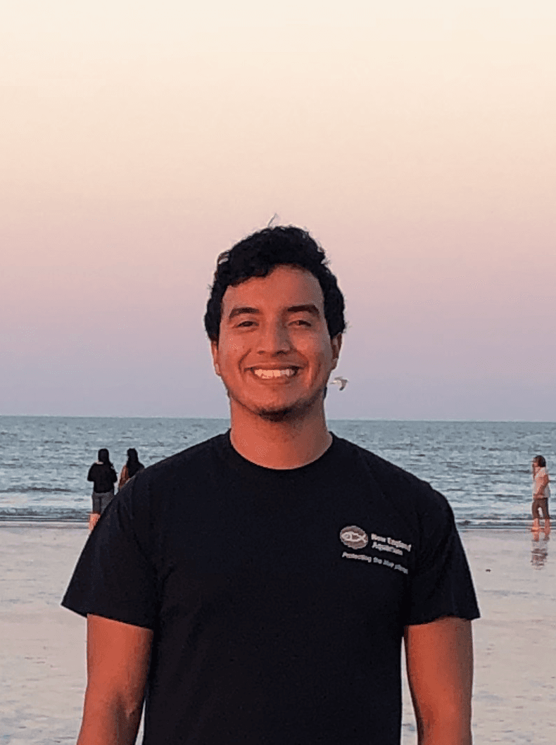 Ilyas Salhi standing on a beach